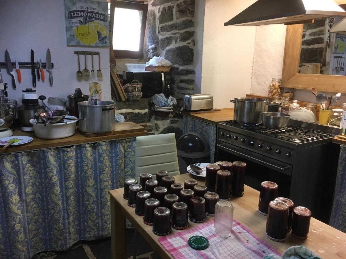 Chambres D'Hotes Le Lepadou-Bas Saint-Chély-dʼAubrac Esterno foto