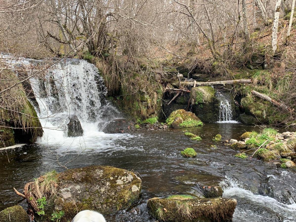 Chambres D'Hotes Le Lepadou-Bas Saint-Chély-dʼAubrac Esterno foto