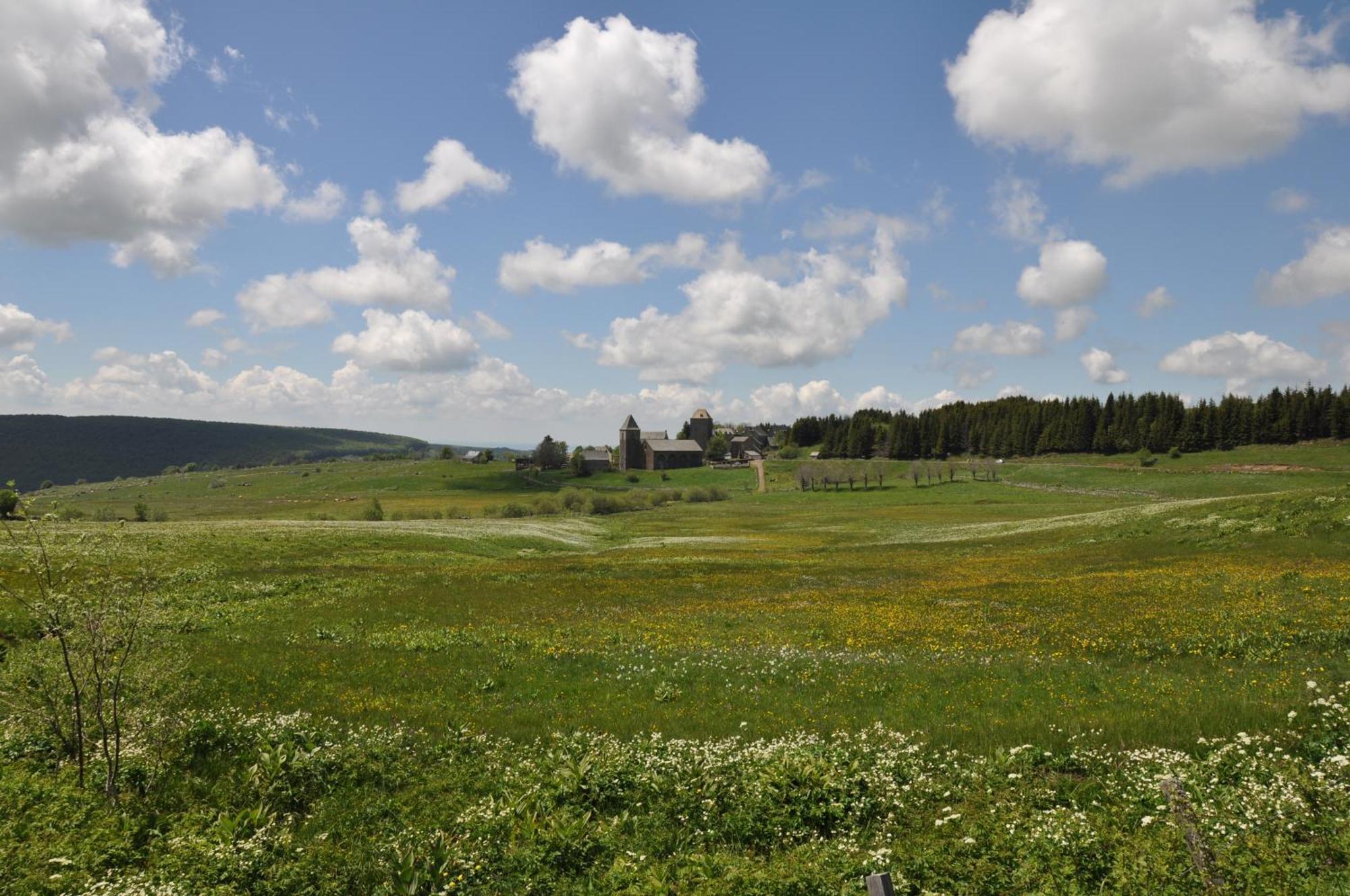 Chambres D'Hotes Le Lepadou-Bas Saint-Chély-dʼAubrac Esterno foto